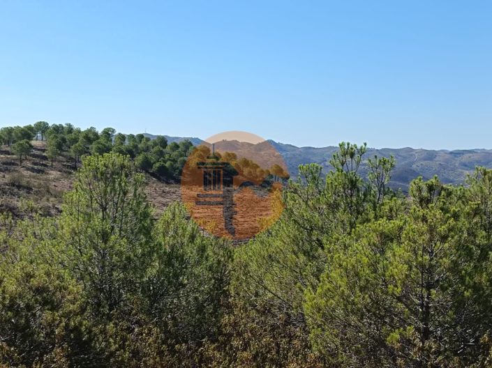 Image No.4-Plot for sale