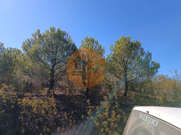 Image No.41-Plot for sale