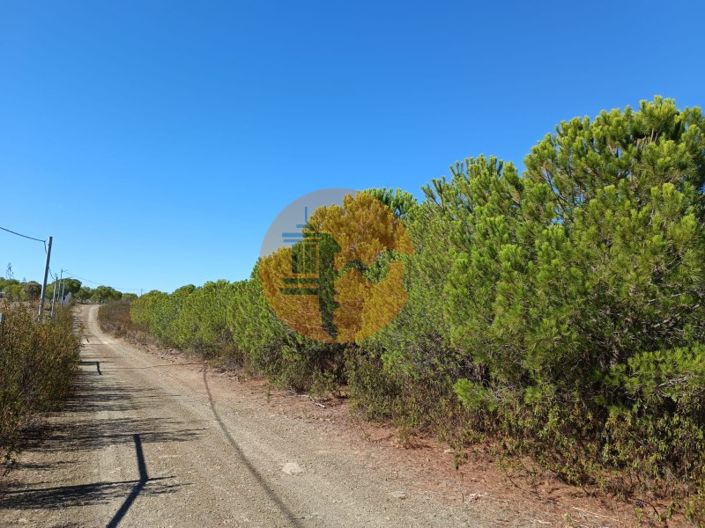 Image No.5-Plot for sale