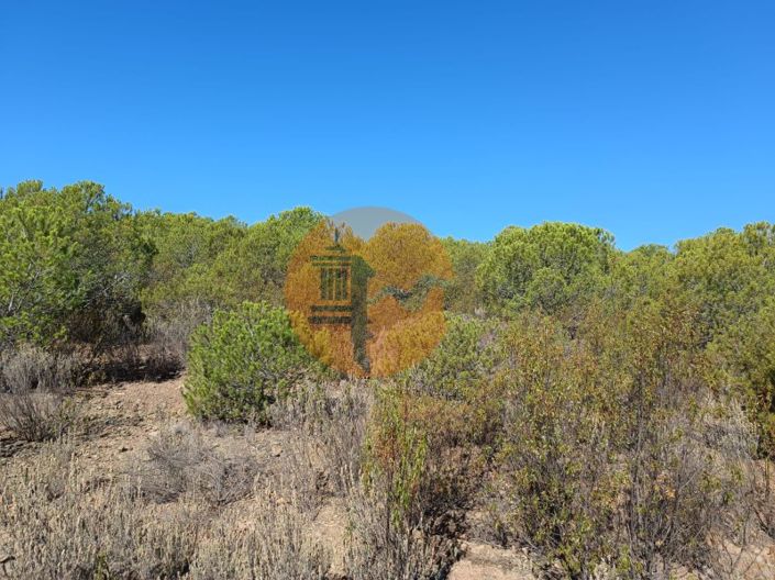 Image No.6-Plot for sale