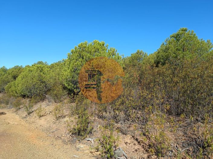 Image No.8-Plot for sale