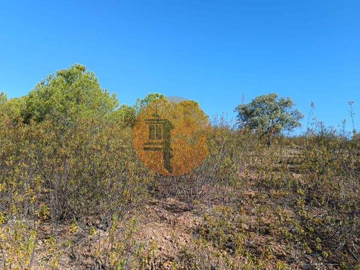 Image No.9-Plot for sale