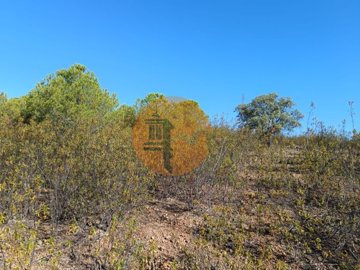 idc61e7001-0000-0500-0000-000011c754ae