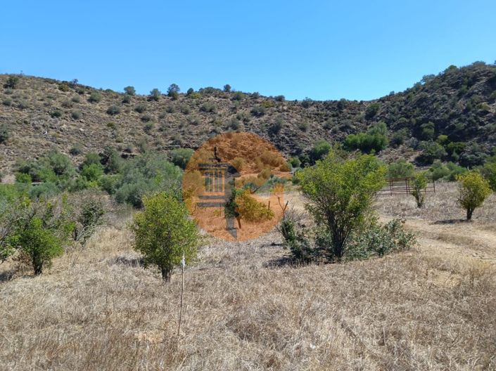 Image No.18-Plot for sale