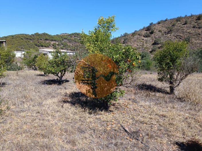 Image No.21-Plot for sale