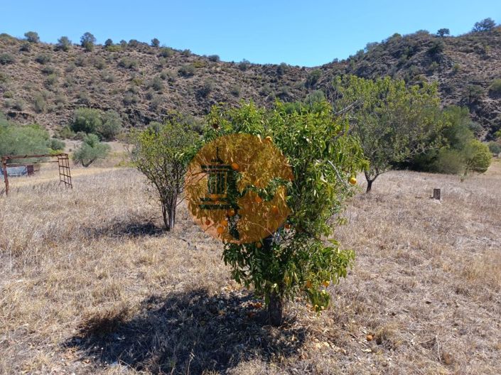 Image No.22-Plot for sale