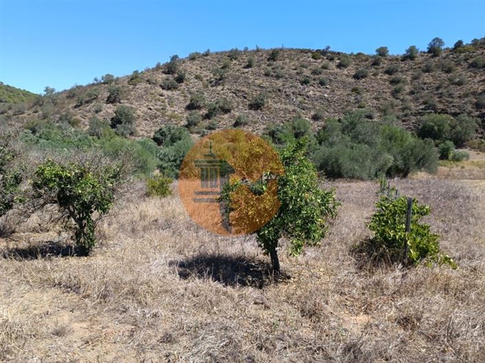 Image No.24-Plot for sale