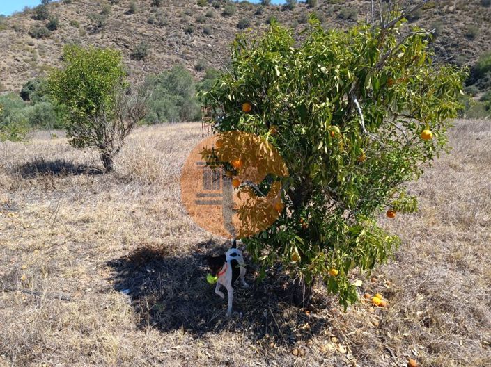 Image No.25-Plot for sale