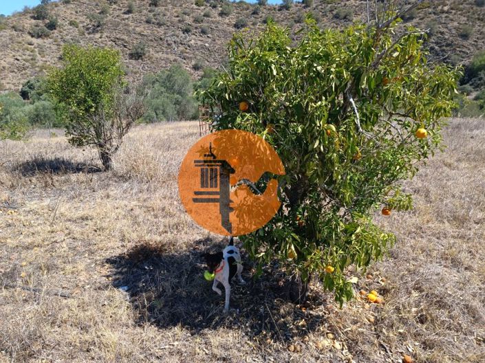 Image No.25-Plot for sale