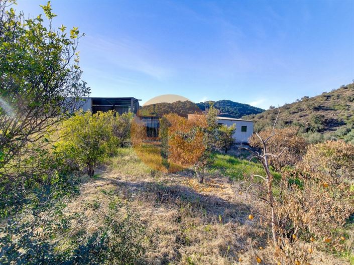 Image No.4-Plot for sale