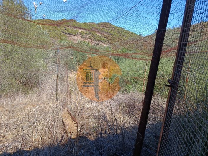 Image No.44-Plot for sale