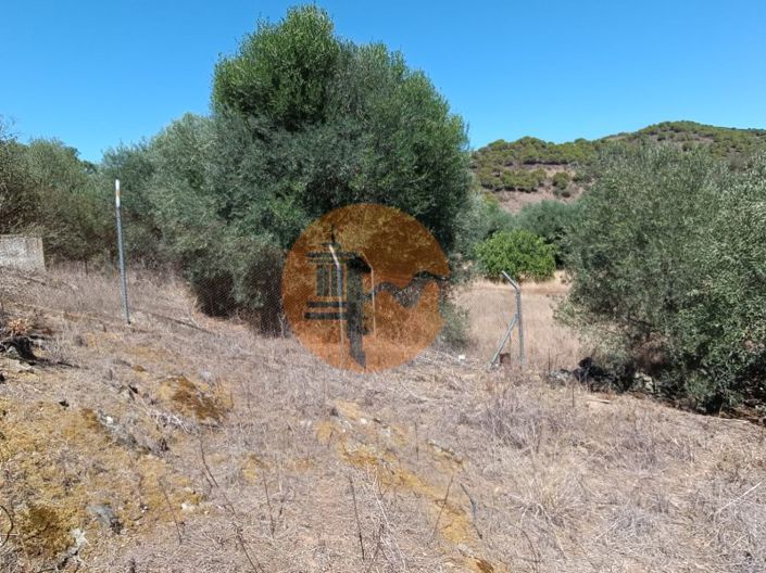 Image No.51-Plot for sale