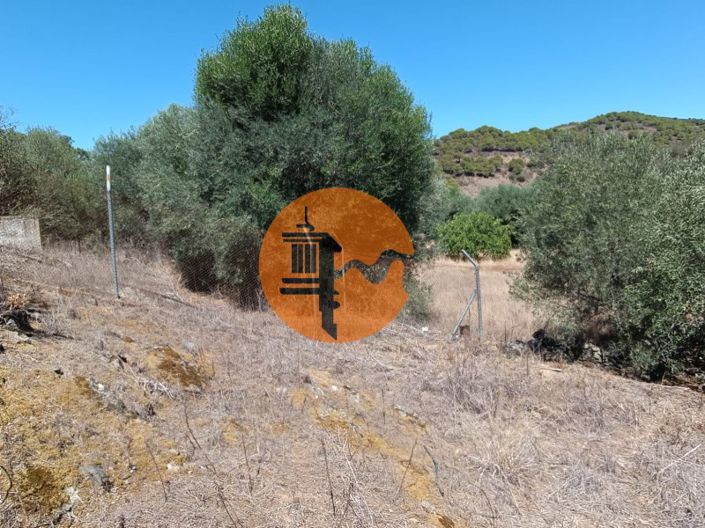 Image No.51-Plot for sale