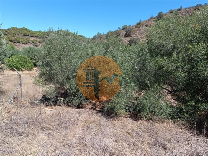 Image No.55-Plot for sale