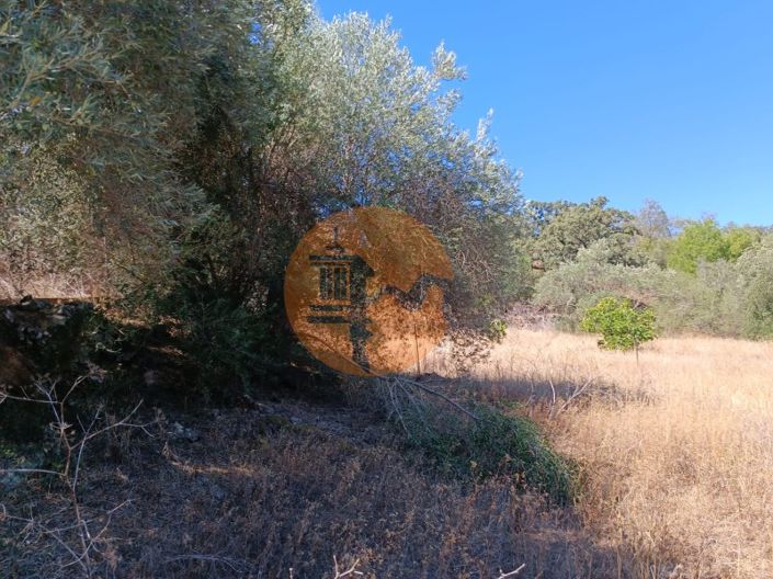 Image No.59-Plot for sale