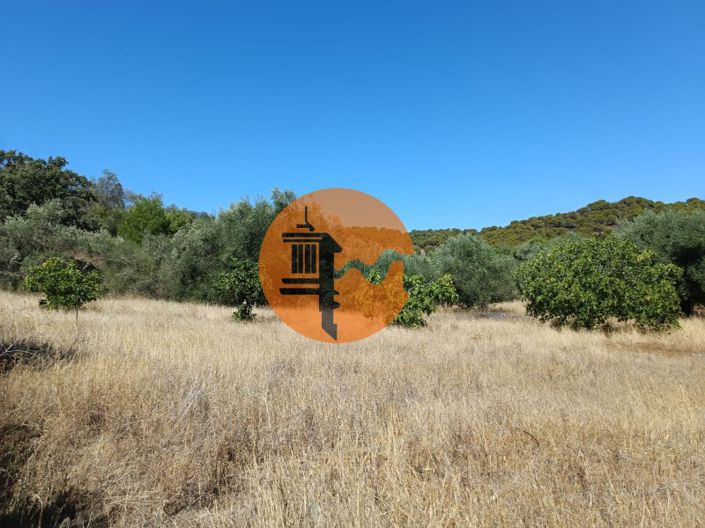 Image No.61-Plot for sale