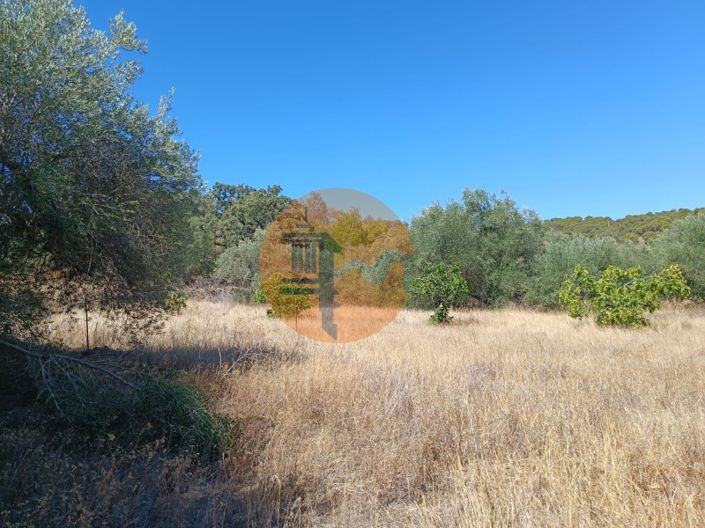 Image No.65-Plot for sale