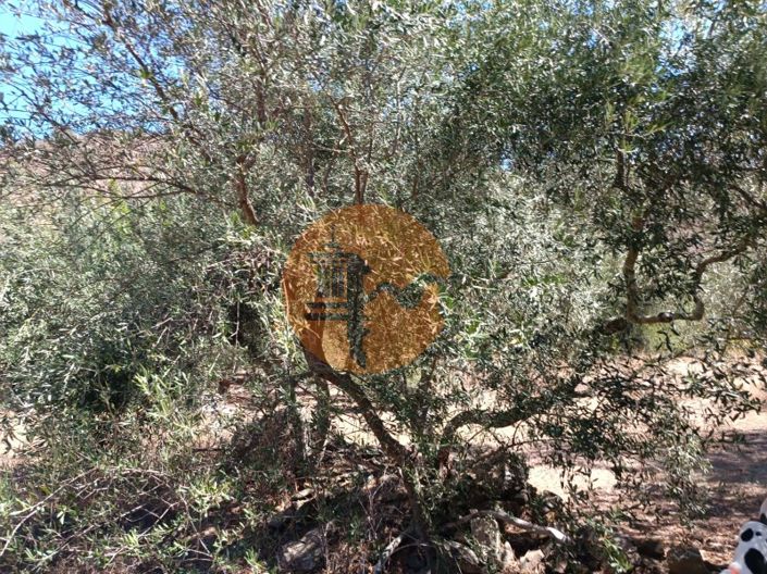 Image No.66-Plot for sale