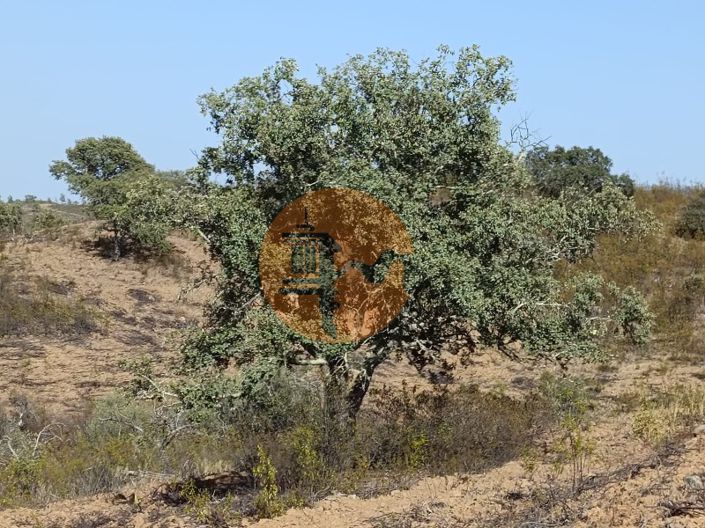 Image No.10-Plot for sale