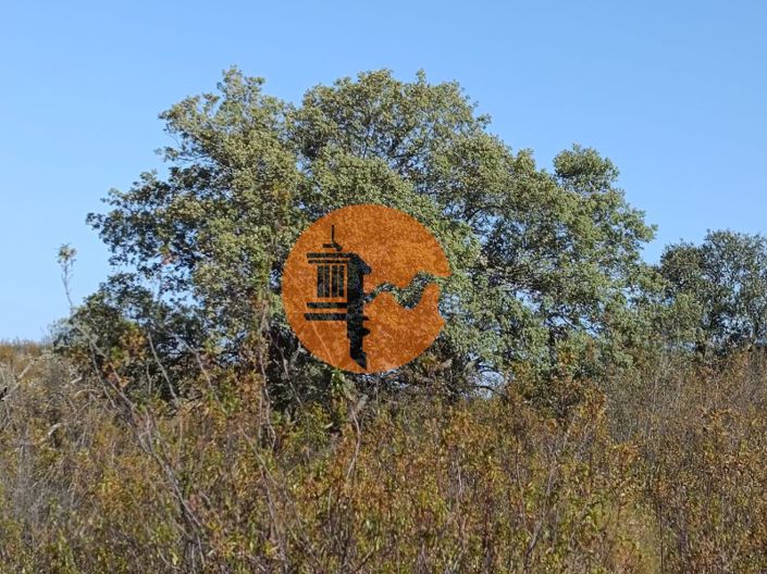 Image No.13-Plot for sale