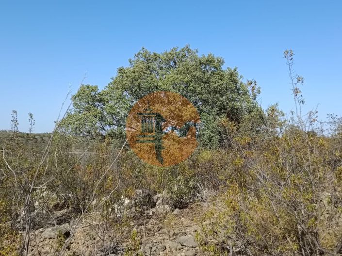 Image No.20-Plot for sale