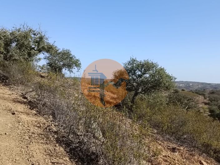 Image No.22-Plot for sale