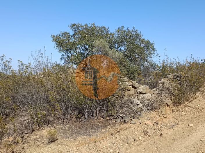 Image No.23-Plot for sale