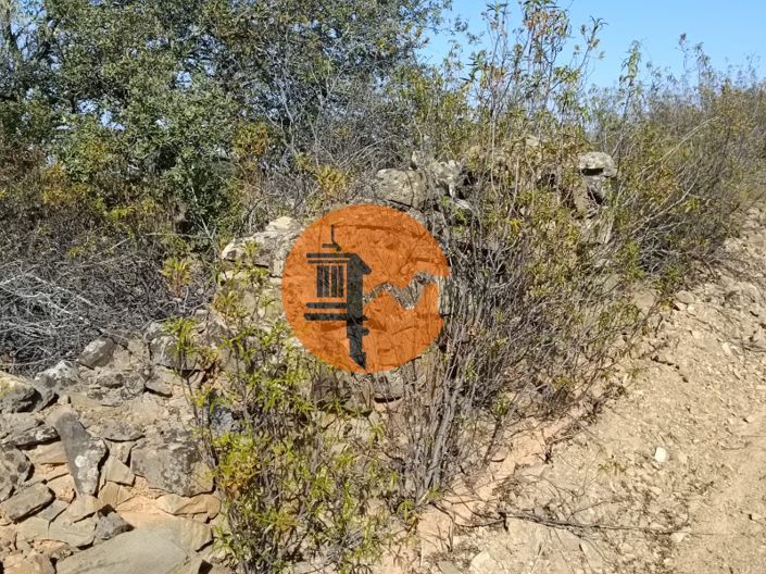 Image No.24-Plot for sale