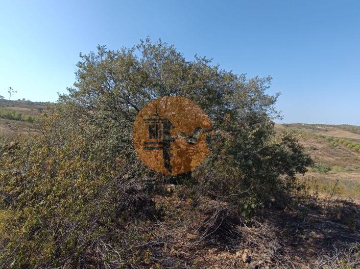 Image No.26-Plot for sale