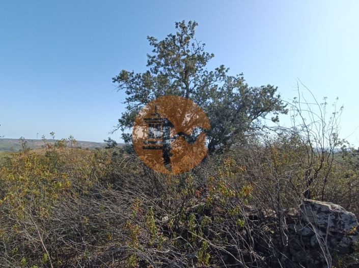 Image No.32-Plot for sale