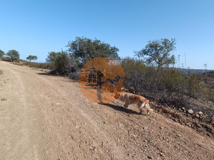 Image No.34-Plot for sale