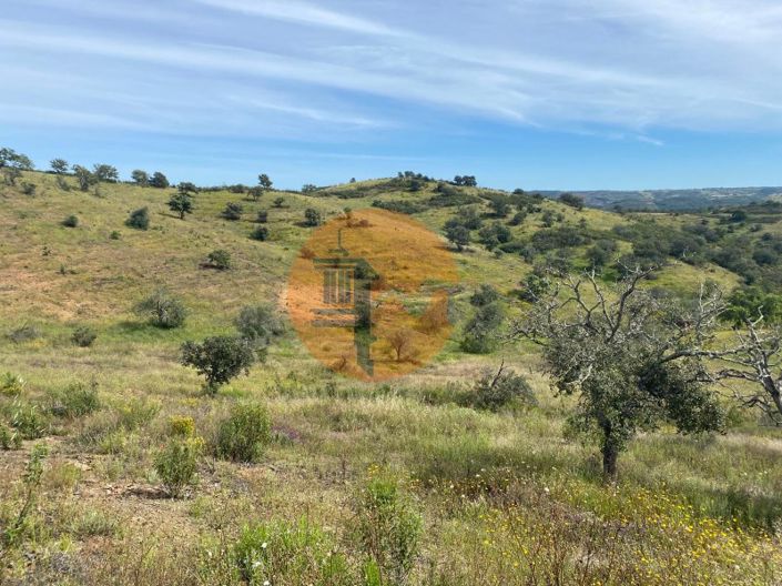 Image No.38-Plot for sale