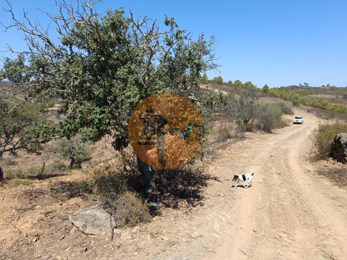 Image No.41-Plot for sale