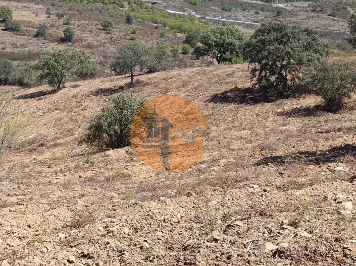 Image No.44-Plot for sale