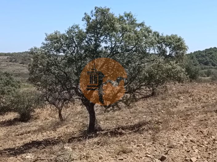 Image No.45-Plot for sale