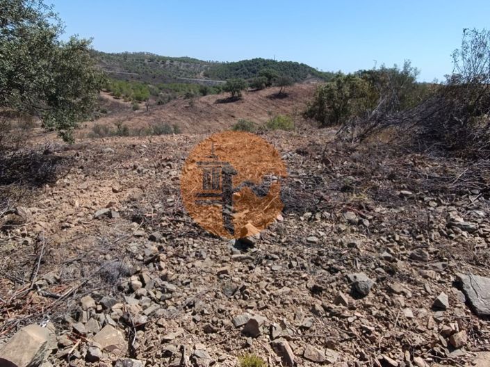 Image No.46-Plot for sale