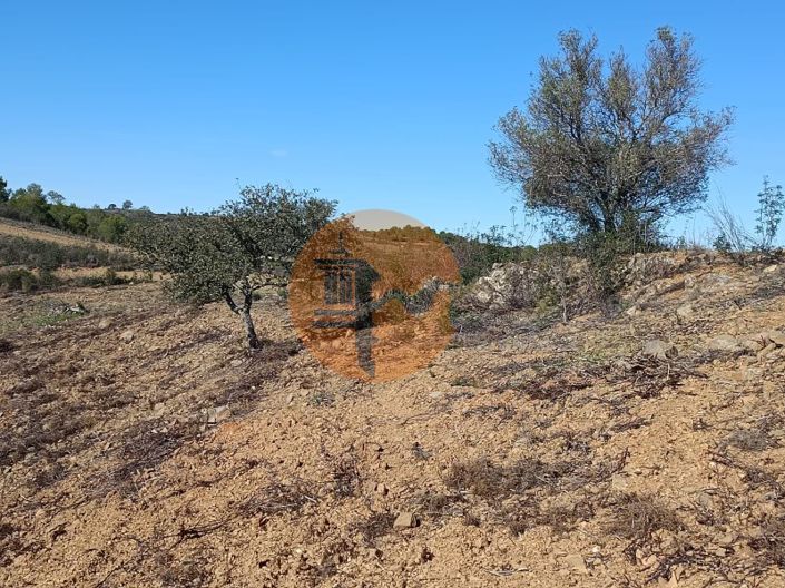 Image No.5-Plot for sale