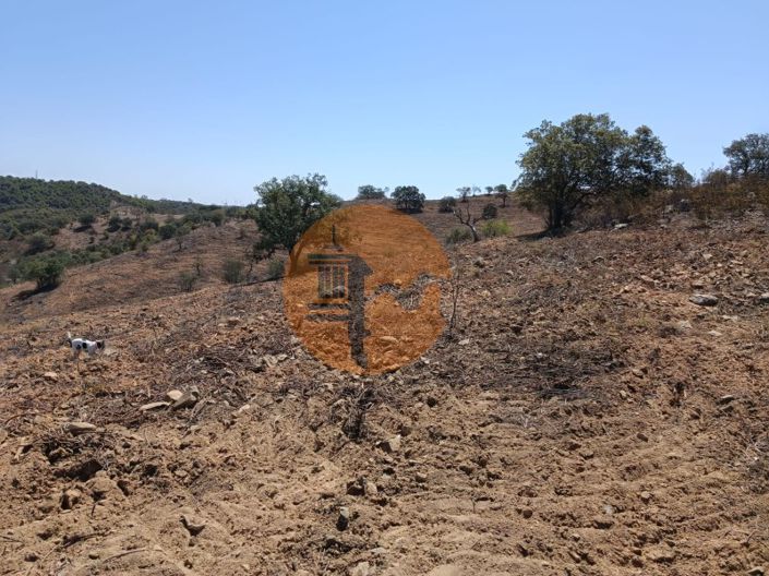 Image No.54-Plot for sale