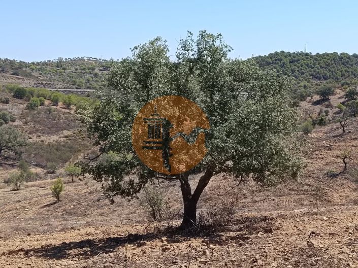 Image No.7-Plot for sale