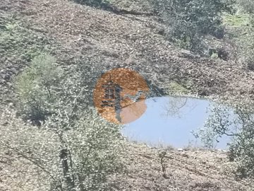 idd7887001-0000-0500-0000-00001239367f
