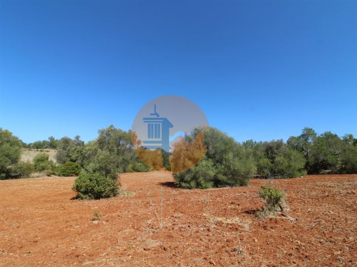 Image No.12-Terrain à vendre à Loule