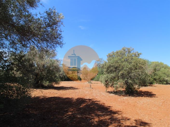 Image No.3-Terrain à vendre à Loule