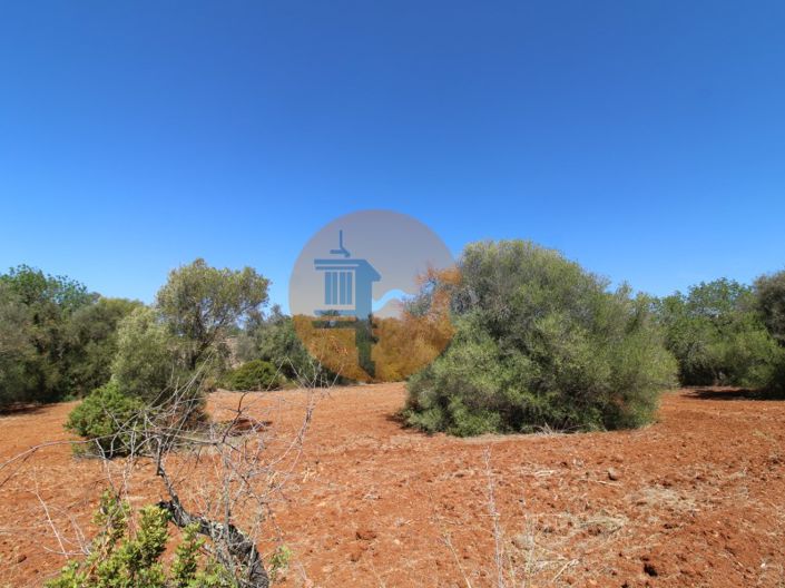 Image No.15-Terrain à vendre à Loule