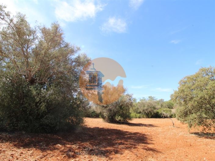 Image No.17-Terrain à vendre à Loule