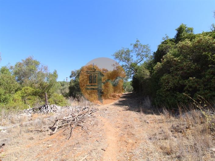 Image No.19-Terrain à vendre à Loule