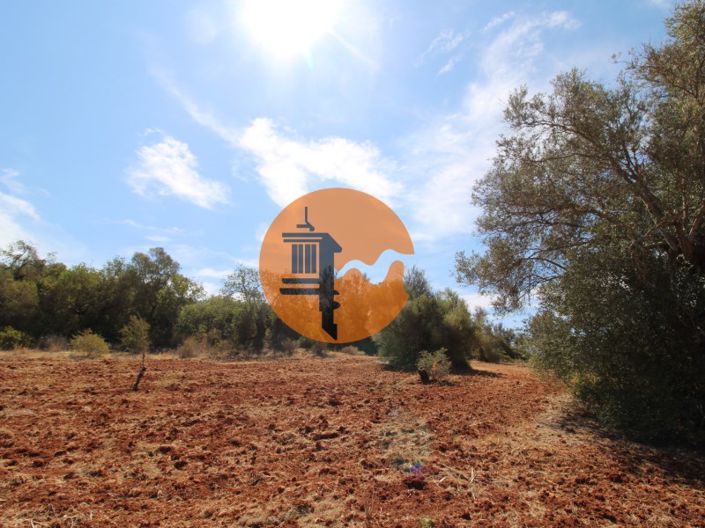 Image No.2-Terrain à vendre à Loule