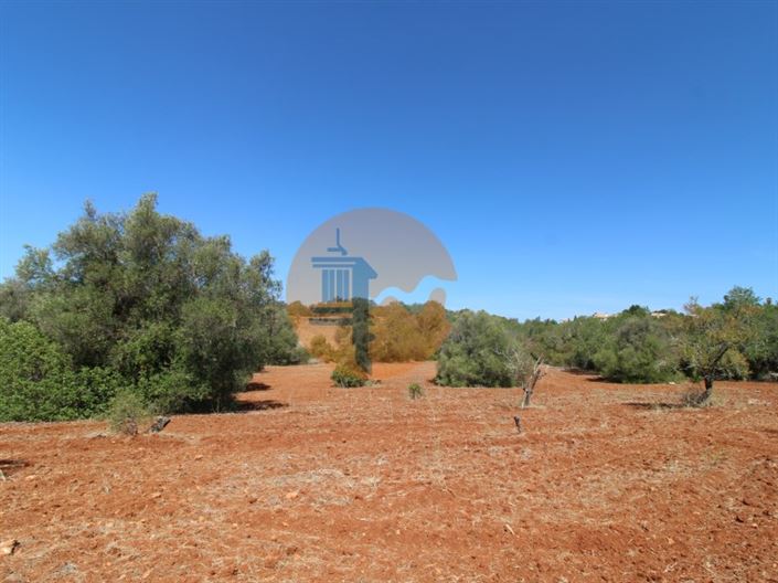 Image No.6-Terrain à vendre à Loule