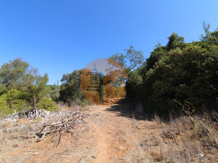 Image No.20-Terrain à vendre à Loule