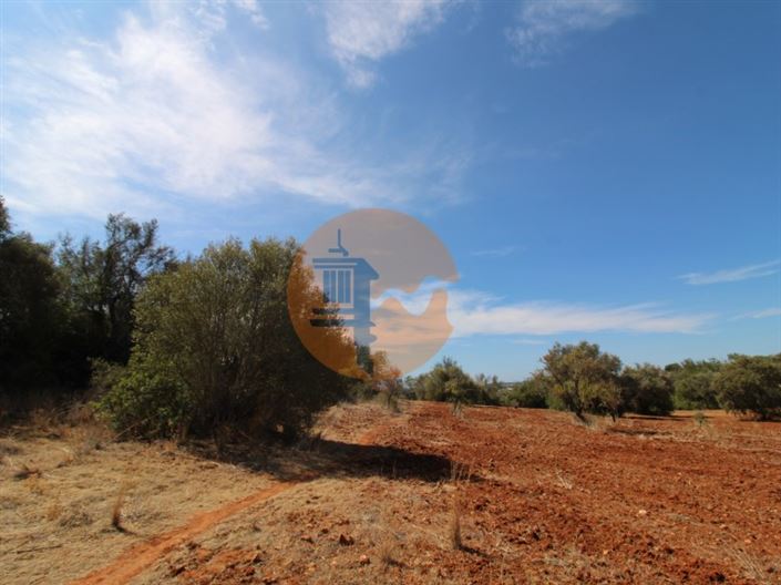 Image No.1-Plot for sale