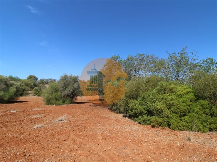 Image No.5-Terrain à vendre à Loule